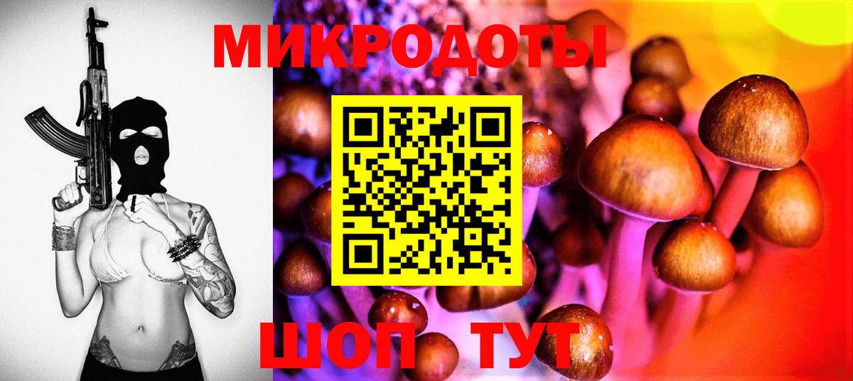 Псилоцибиновые грибы Psilocybine cubensis  Псилоцибиновые грибы Psilocybe  Балашов  Вход с VPN 