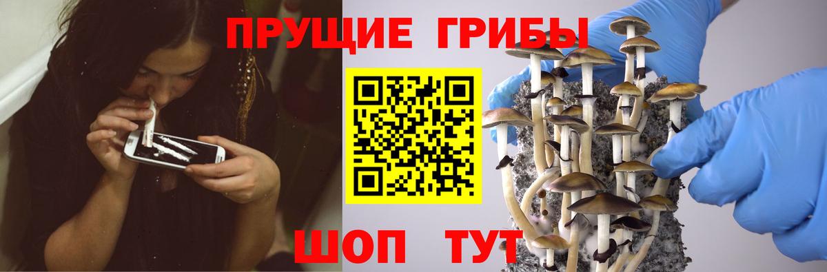 Галлюциногенные грибы MAGIC MUSHROOMS Балашов